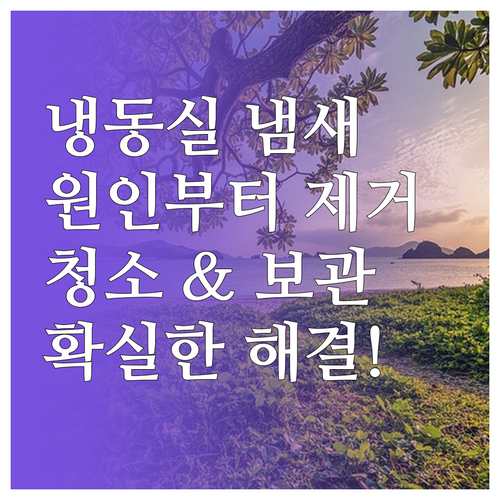 냉동실 냄새 완벽 제거 및 예방 비법..