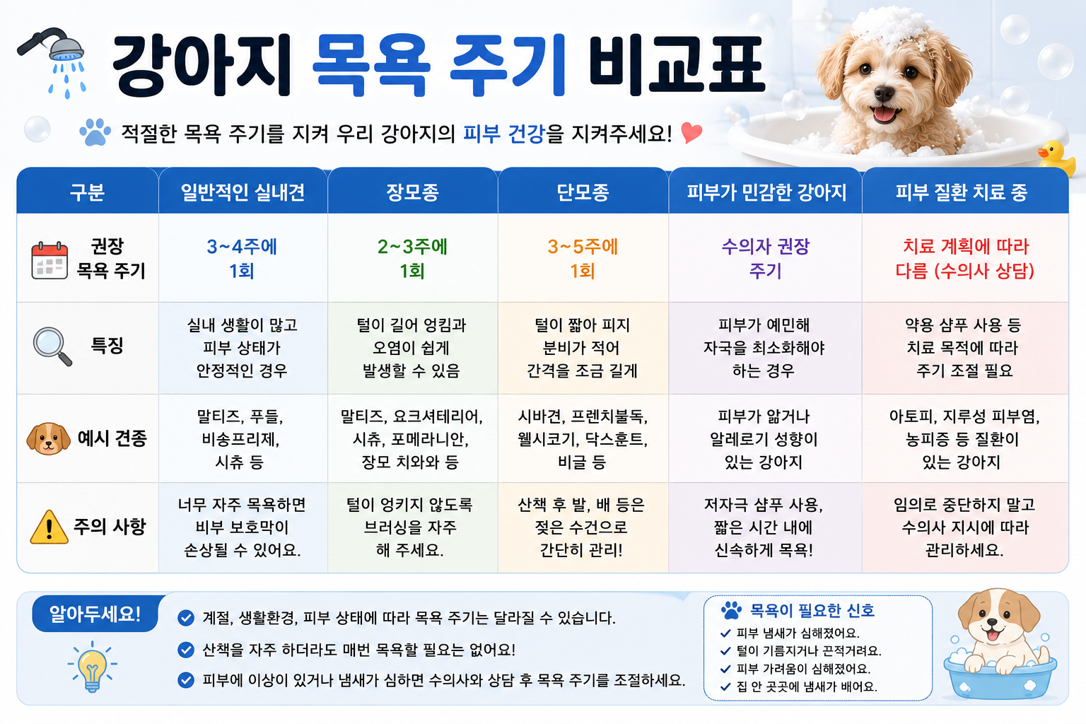 강아지 목욕 주기 비교표 이미지