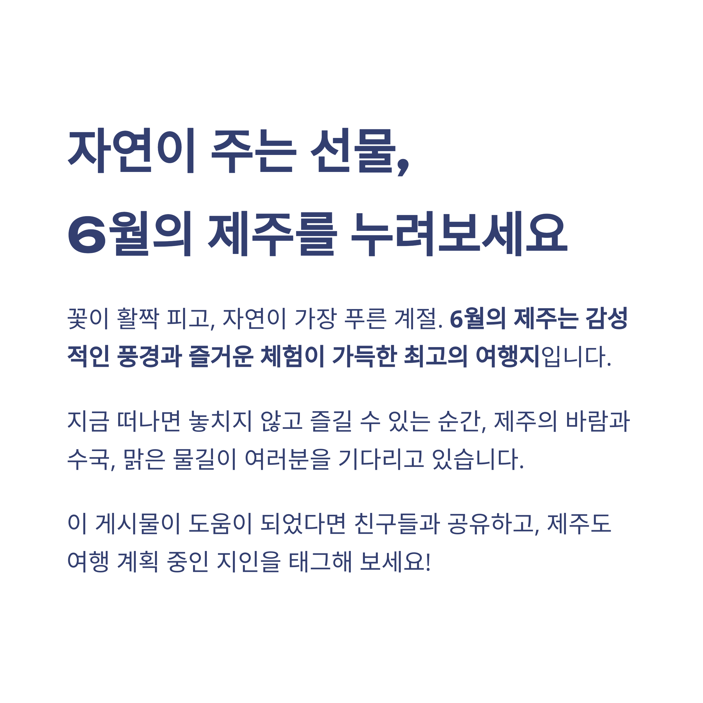 제주의 바람과 꽃, 수국, 자연이 주는 선물 같은 6월 풍경을 강조한 문구