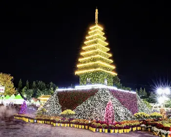 익산 천만송이 국화축제_28