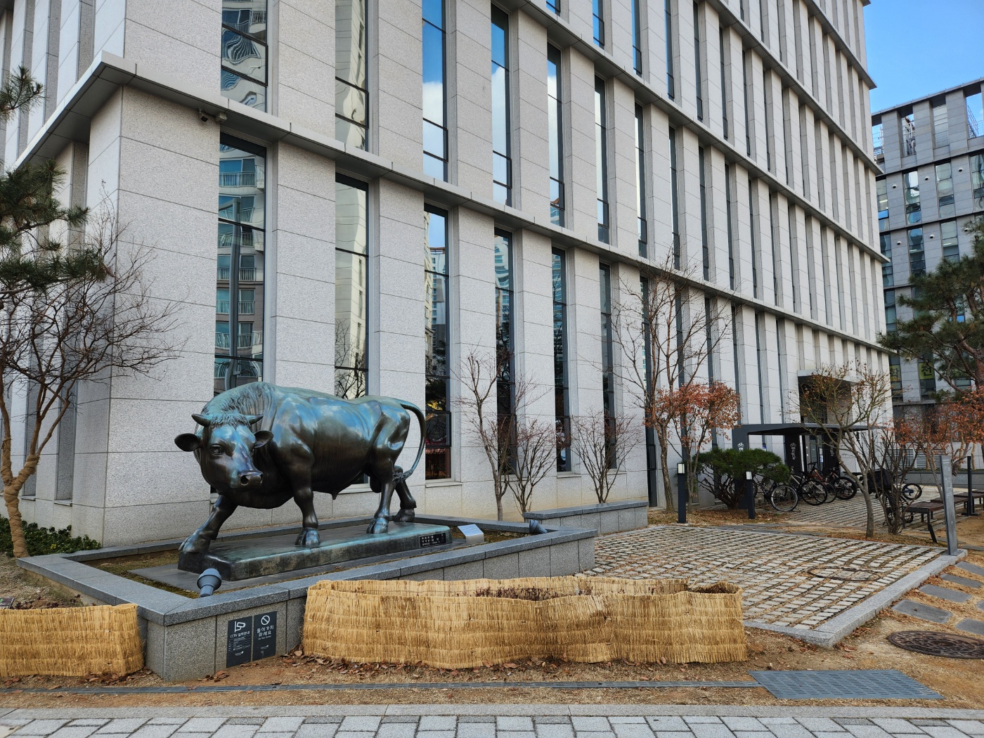 그래픽바이대신