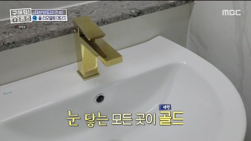 구해줘홈즈 1층집 바이브 동물병원 인접 남양주 다산동 전세 매매 매물 가격 및 구조 인테리어 리모델링 최종선택 강재준 양세찬 소개