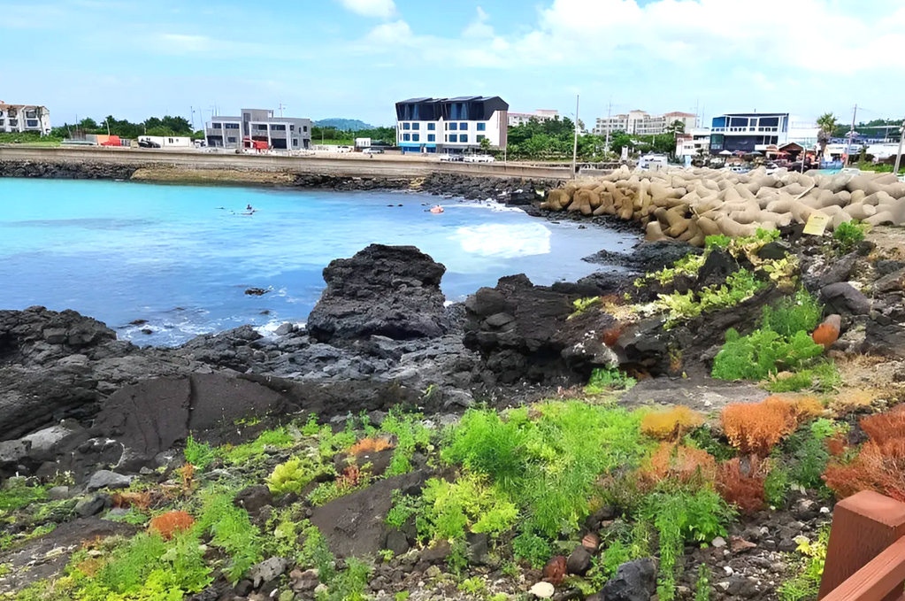 제주도 가볼만한 곳 추천! 사람의 발길보다 바람이 먼저 지나가는 곳, 제주 월령포구