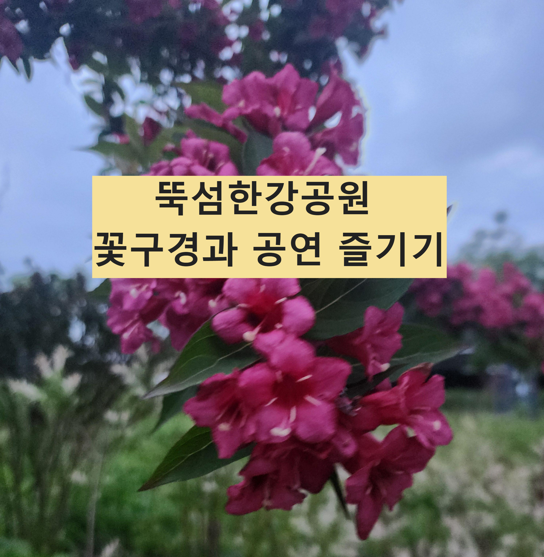 Alt 속성 문제 해결 설명 이미지