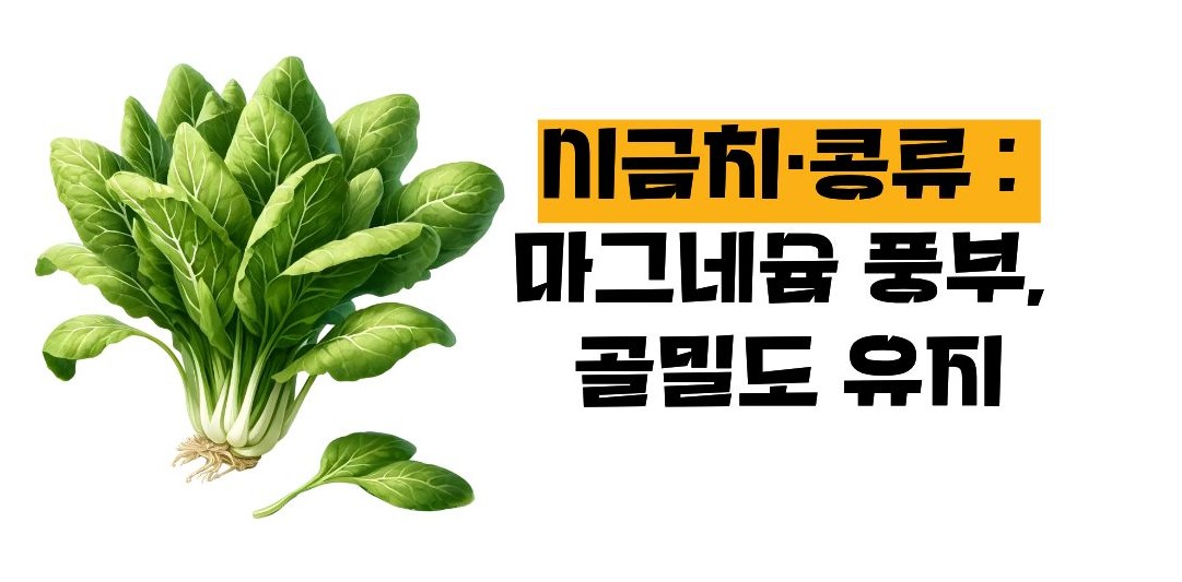 뼈에 좋은 음식
