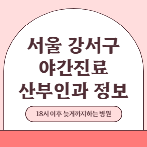 서울 강서구 야간진료 산부인과 병원 (18시 이후 늦게까지하는 병원)