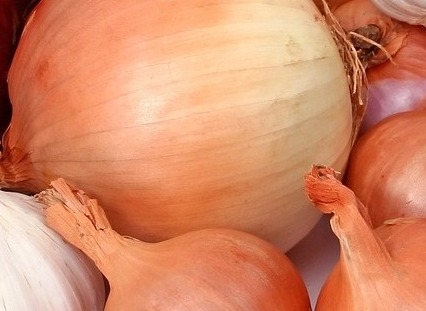 고지혈증에 좋은 음식