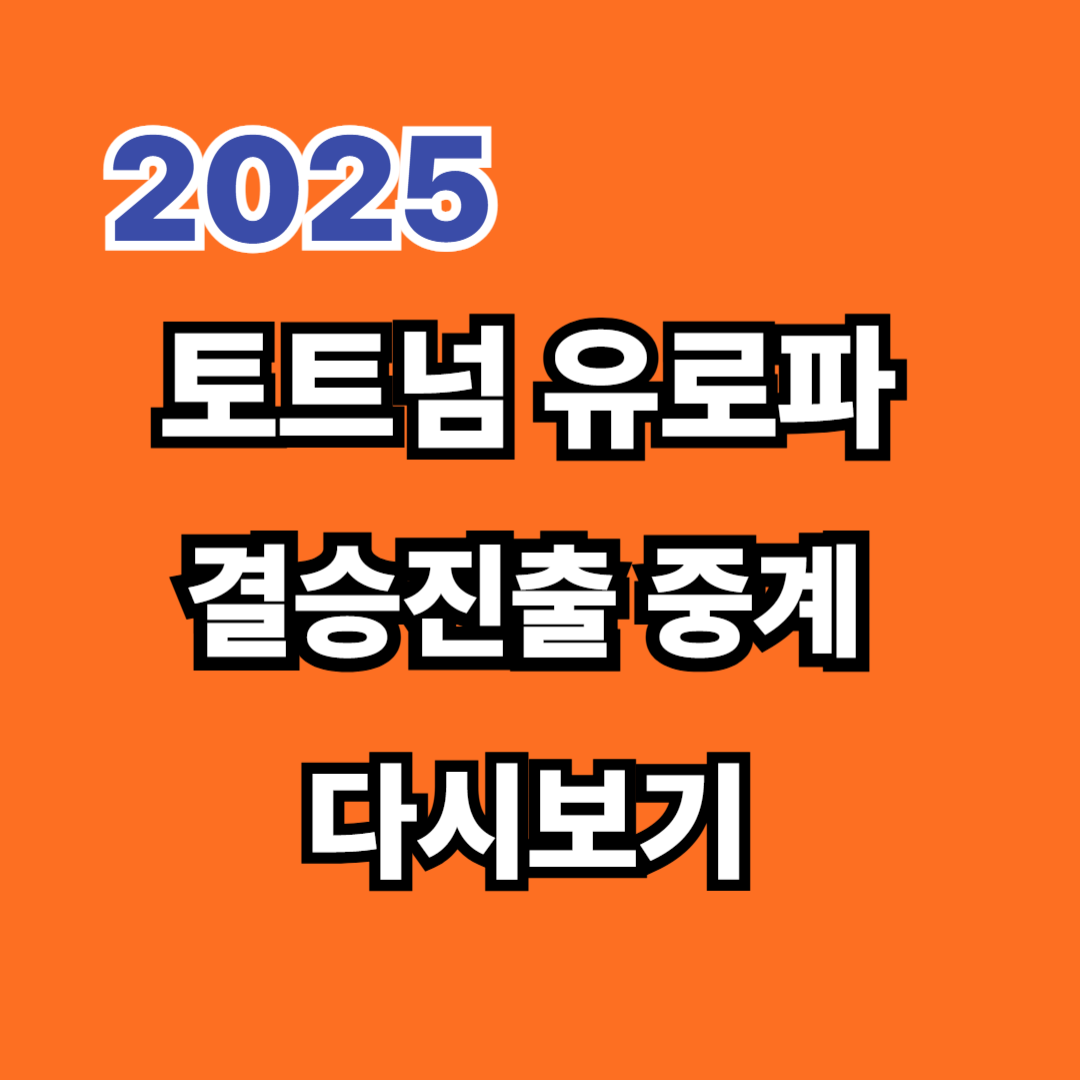 토트넘 유로파 결승진출