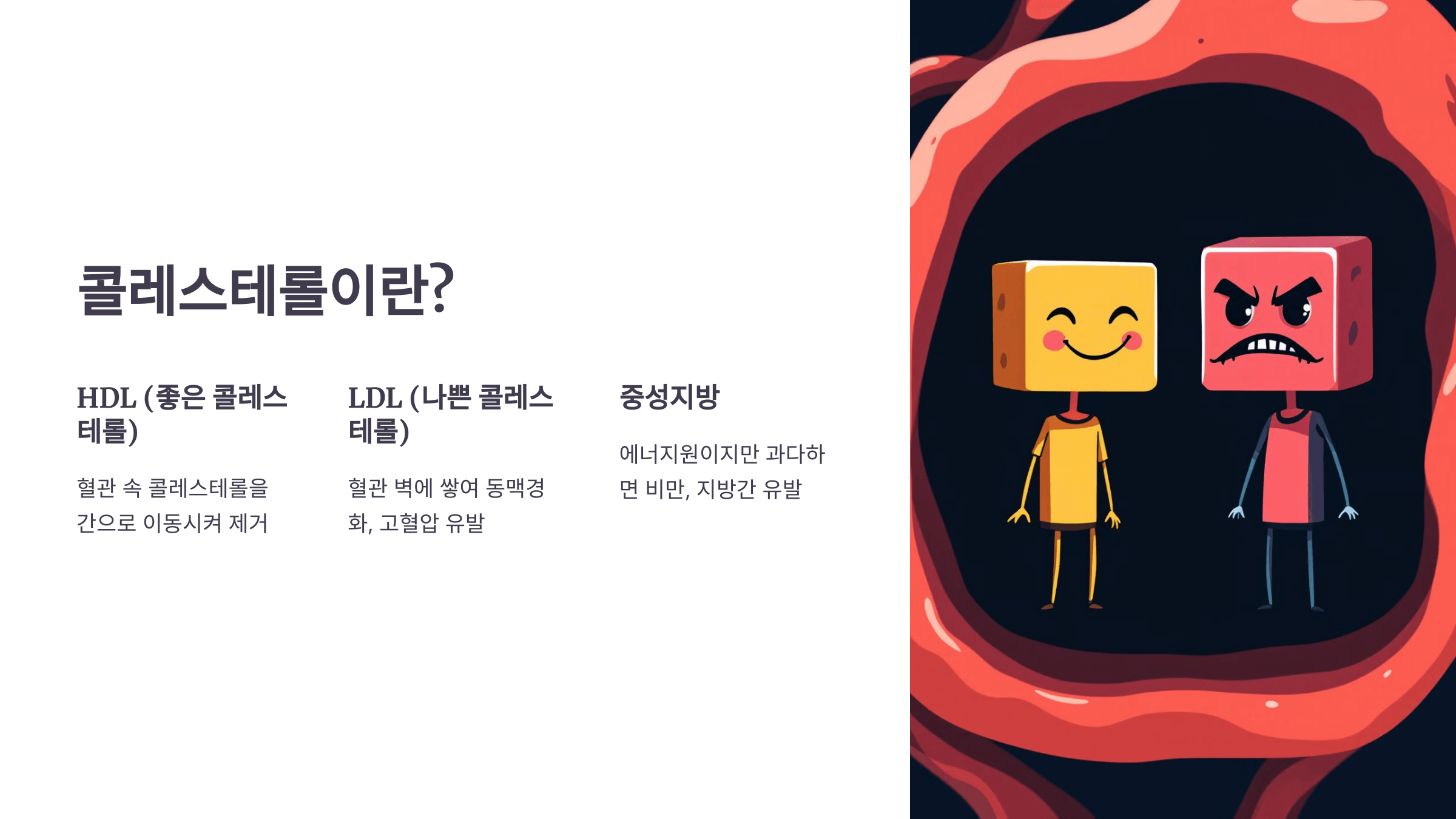 콜레스테롤과 관련된 사진입니다.