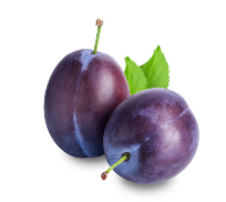푸룬
