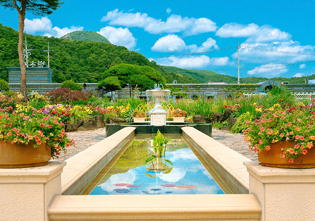 벽초지수목원 여름 사진