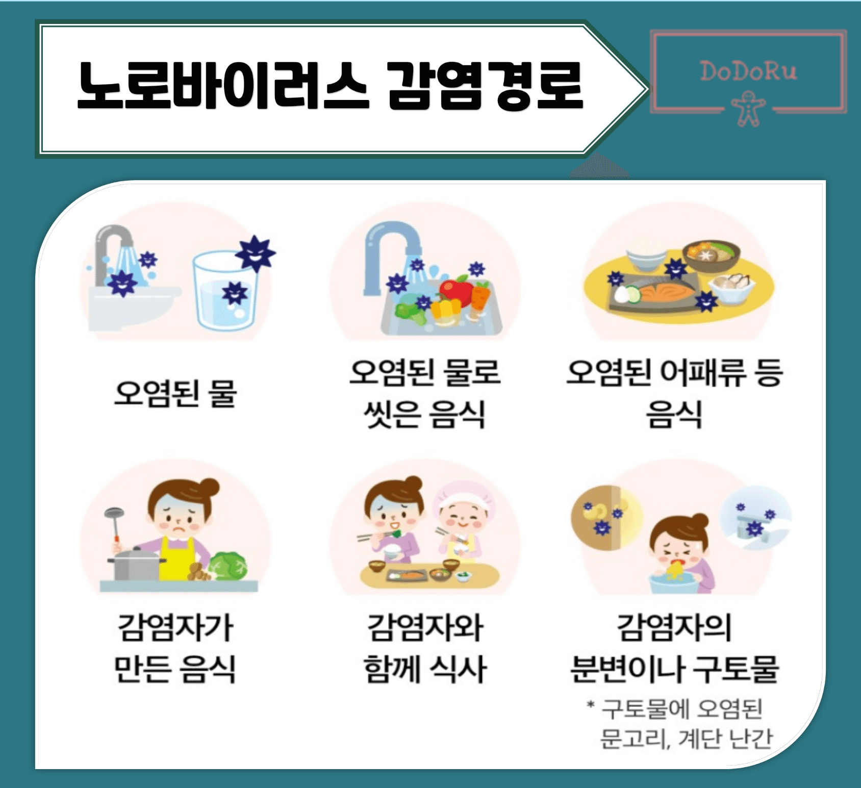 노로바이러스-식중독-감염경로