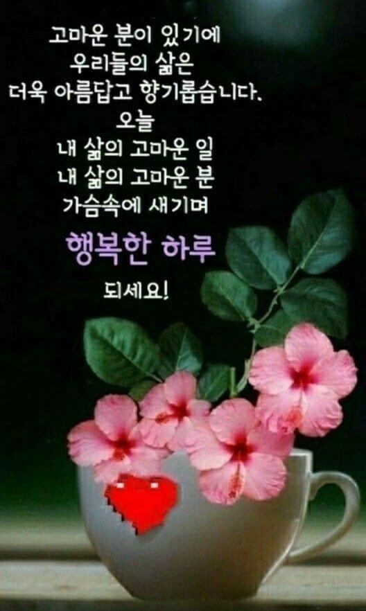 아침인사로-좋은-글귀-아침인사-이쁜글-이미지-다운로드