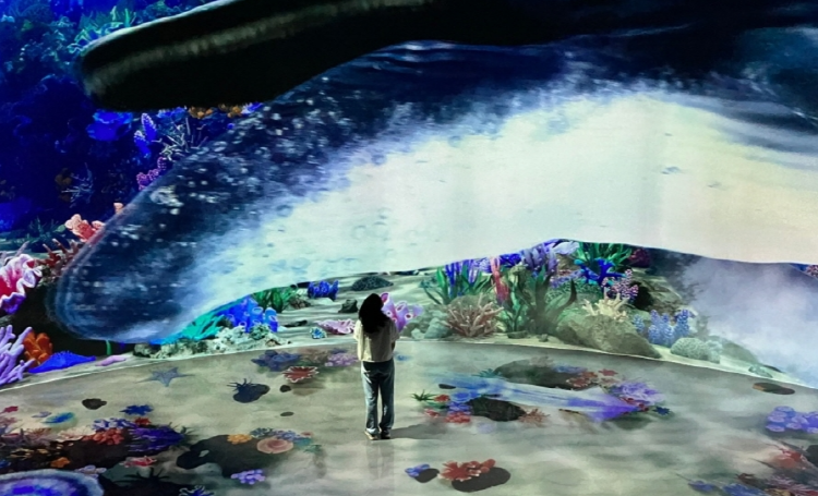 뮤지엄 딥다이브