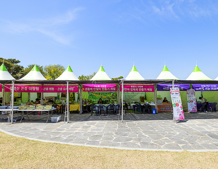 산청 황매산 철쭉축제 프로그램