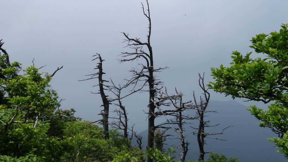 100대 명산 등산하기 마흔 여덟번째 무주 덕유산 사계절이 살아 숨 쉬는 국립공원의 깊은 품으로 떠나는 여행