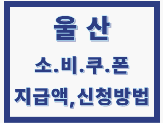 울산시 소비쿠폰