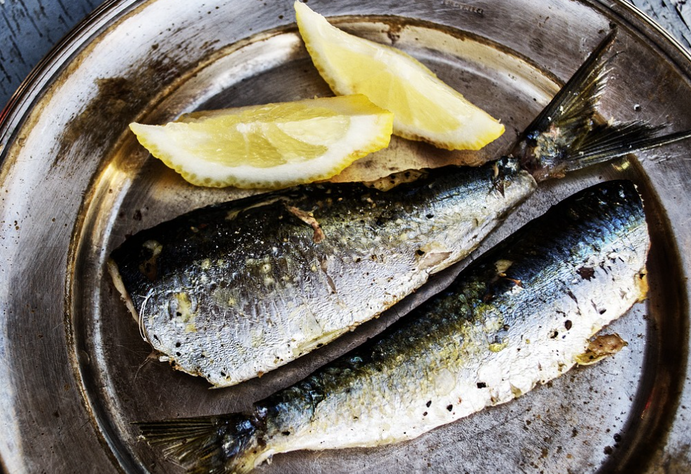 뇌졸중 전조증상과 예방법