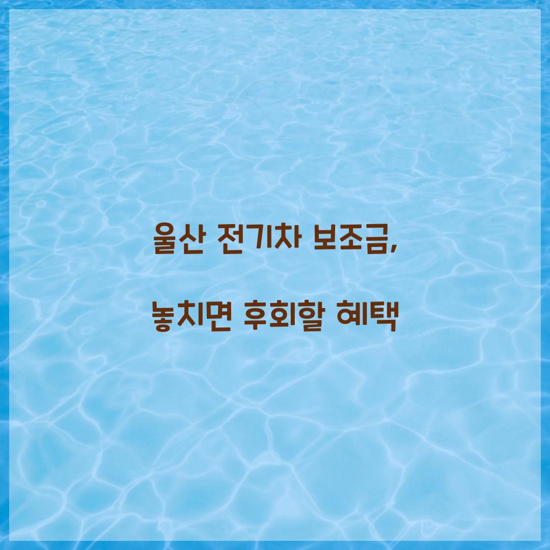 울산 전기차 보조금