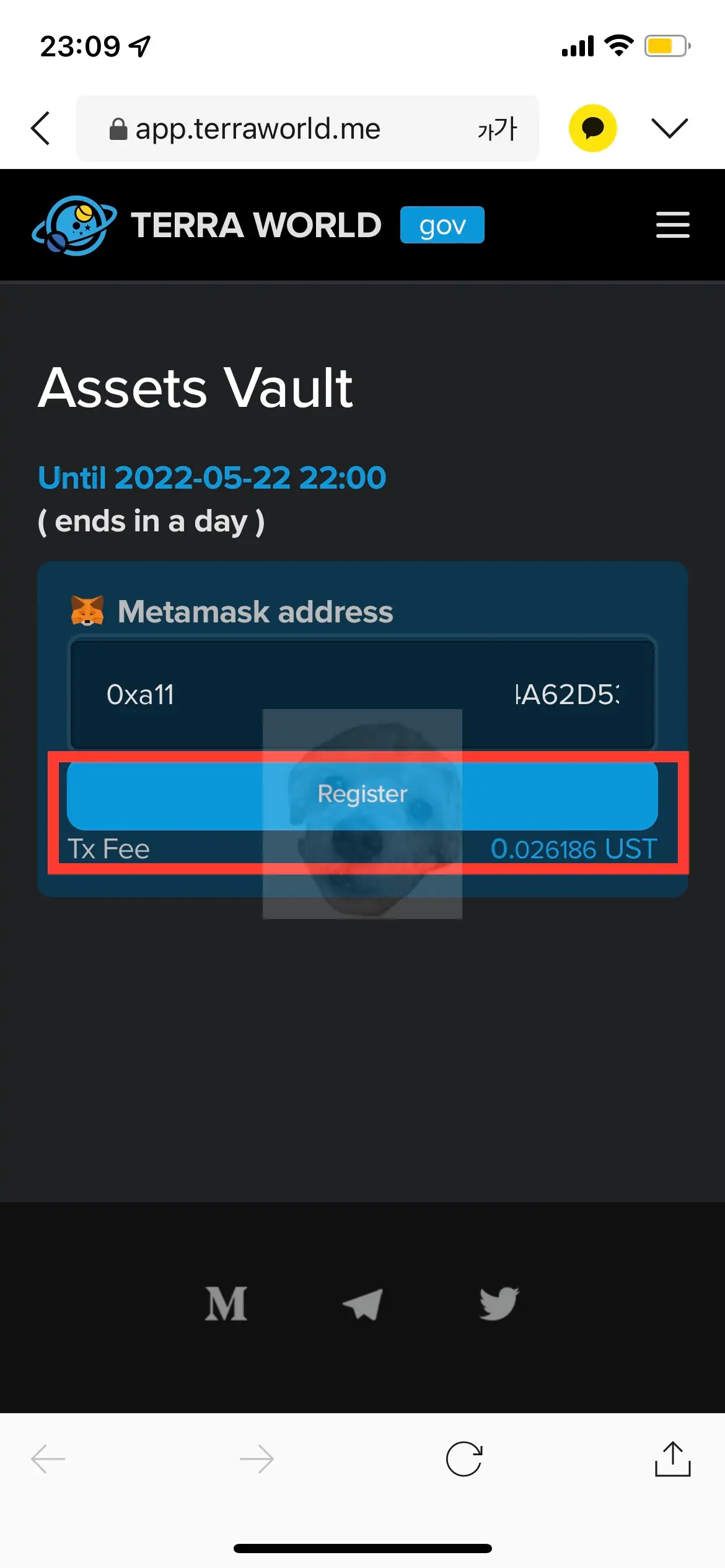 테리월드 볼트 사이트 사진