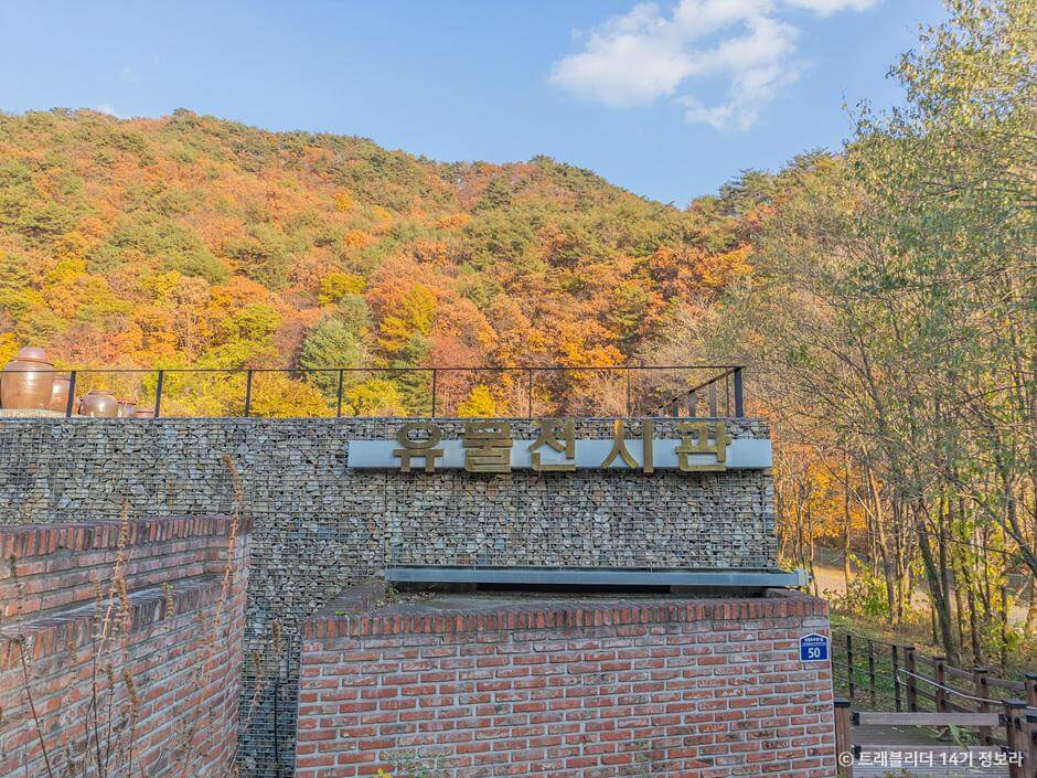 가을 여행지 강원도 단풍 구경 추천 장소