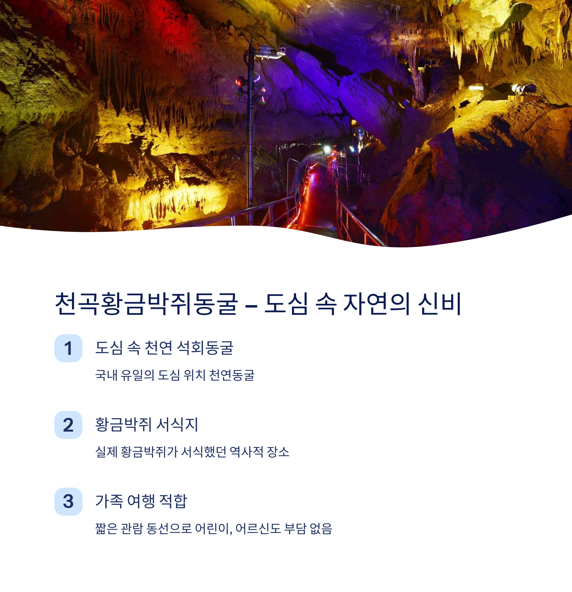 천곡황금박쥐동굴