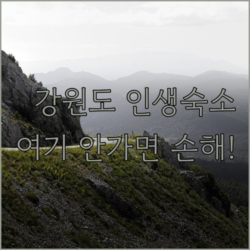 삼척 정선 동해 여행 코스별 추천 숙..