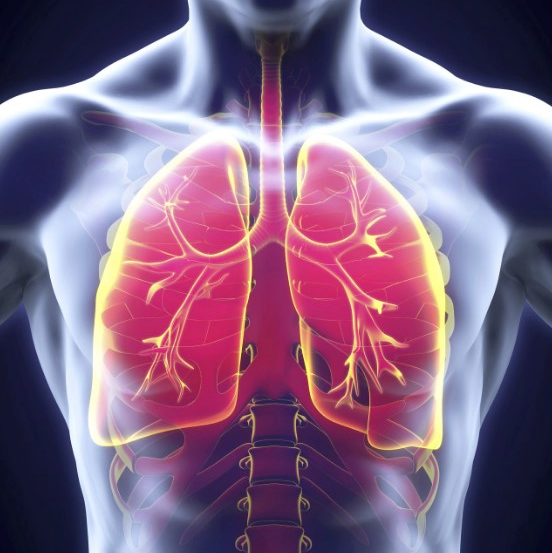 폐렴 전염성과 초기증상 4가지 및 폐렴구균 예방접종 가격 횟수 총정리