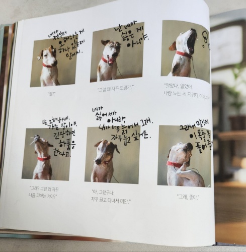 알사탕 내용