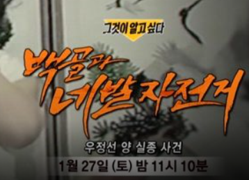그것이 알고 싶다 회차정보