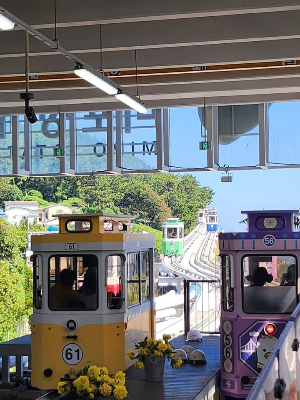 &amp;#39;해운대 스카이캡슐 &amp; 해변열차&amp;#39; 타고 잠시 일상의 여유를 