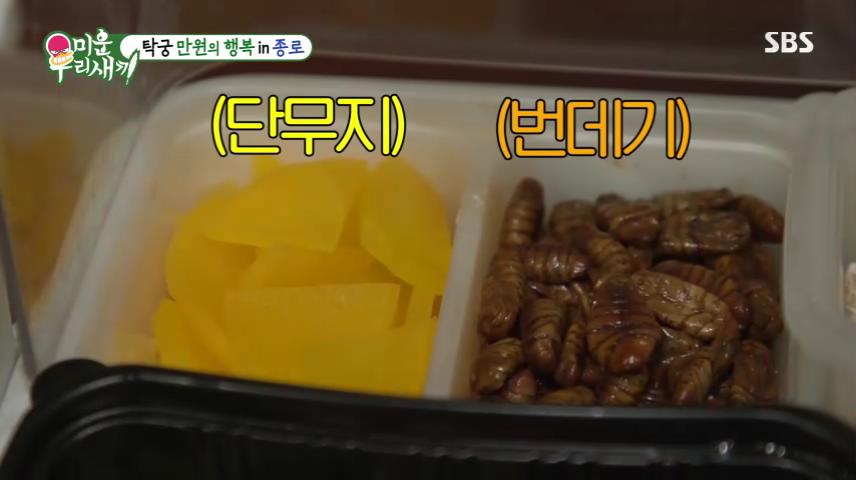 종로 탑골공원 낙원상가 맛집 1천원 막걸리 한사발 안주 포함
