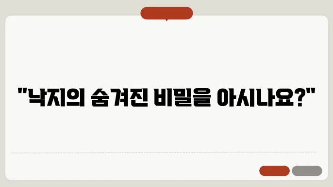 낙지 금어기