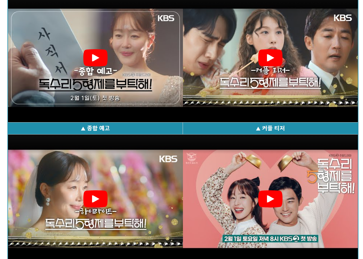 독수리 5형제를 부탁해