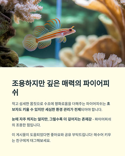 조용하지만 깊은 매력을 가진 해수어