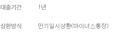 하나은행 비상금대출