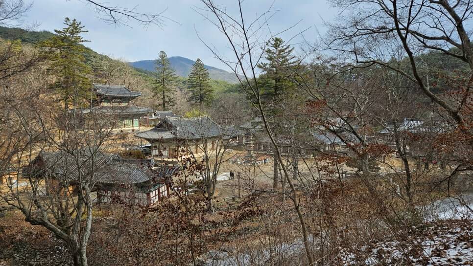 공주 마곡사 : 유네스코 세계유산이 품은 춘마곡의 아름다움과 백범의 발자취를 따라서