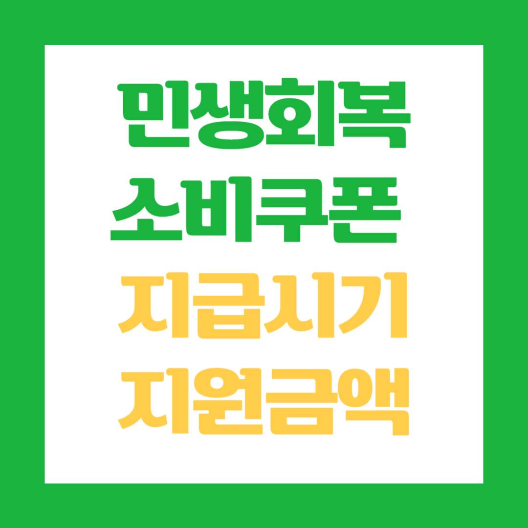 민생회복 소비쿠폰 7월 중순 1차 지급