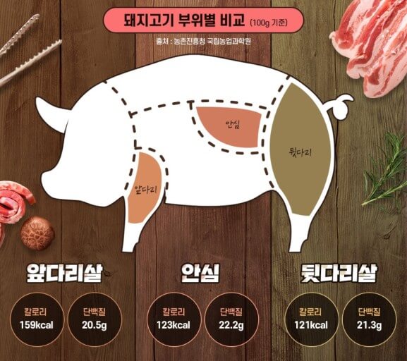돼지고기와 단백질