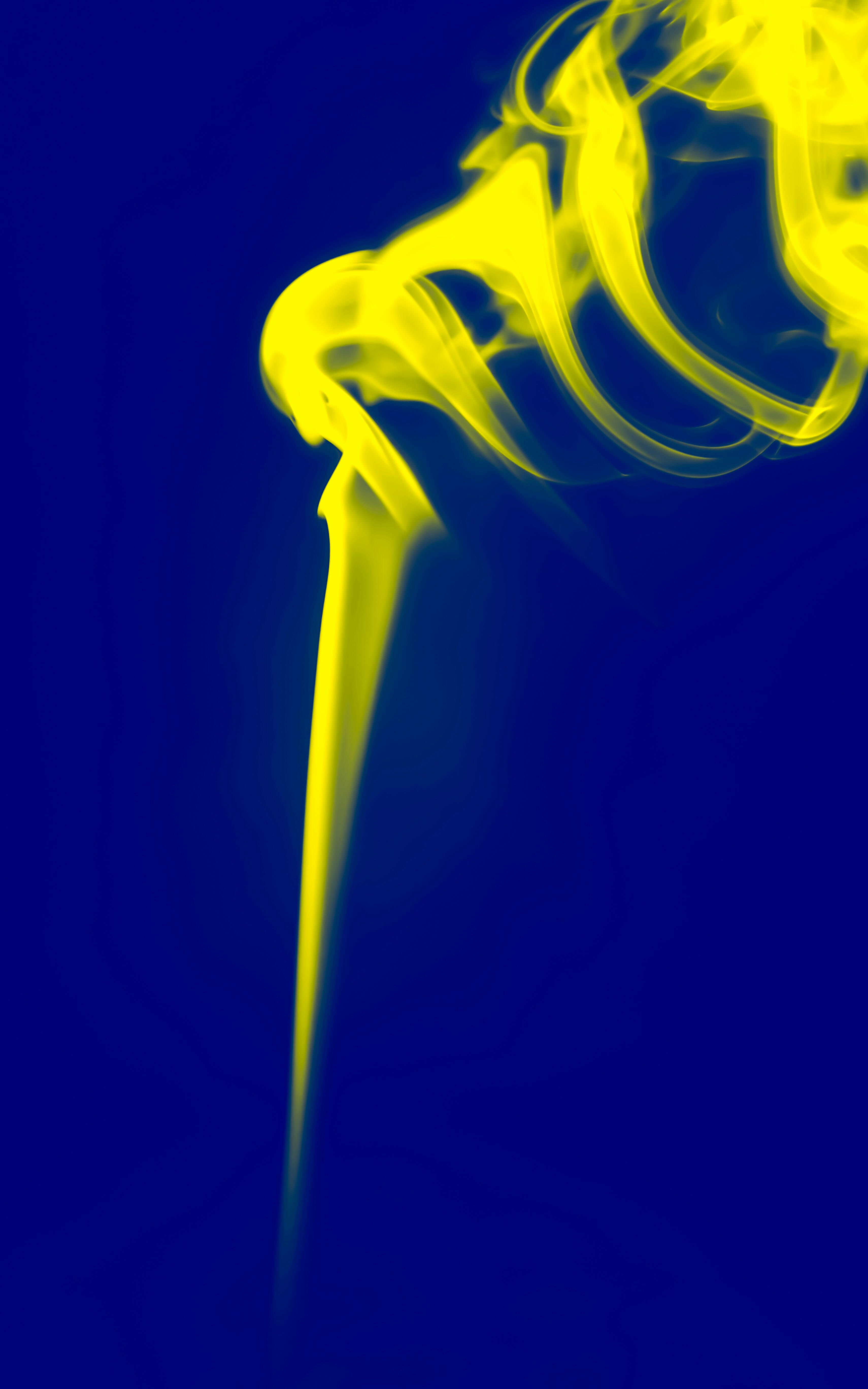 게걸무 씨앗 오일