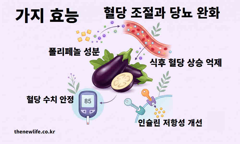 가지 효능 혈당 조절 당뇨 완화