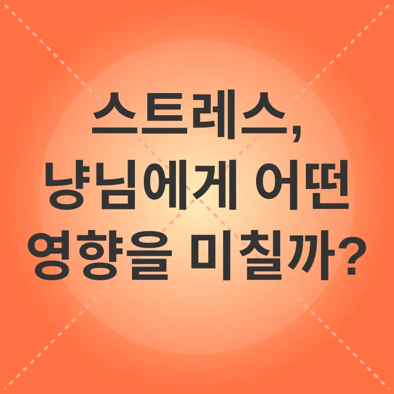 고양이 스트레스 관리_1