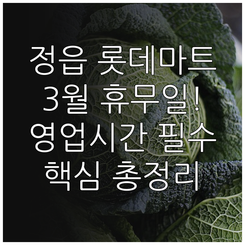 롯데마트 정읍점 3월 휴무 정보 영업..
