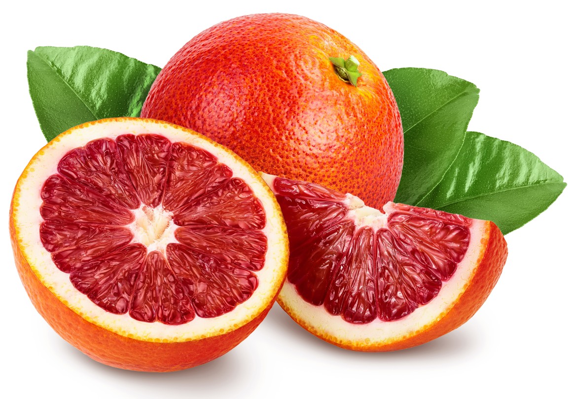 모로실 다이어트