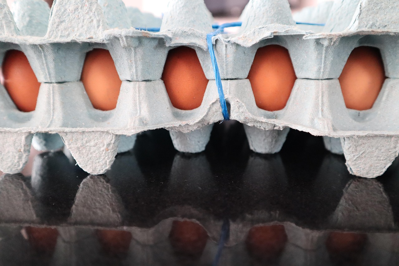 잇몸 건강 위한 치아 영양제 추천 사례