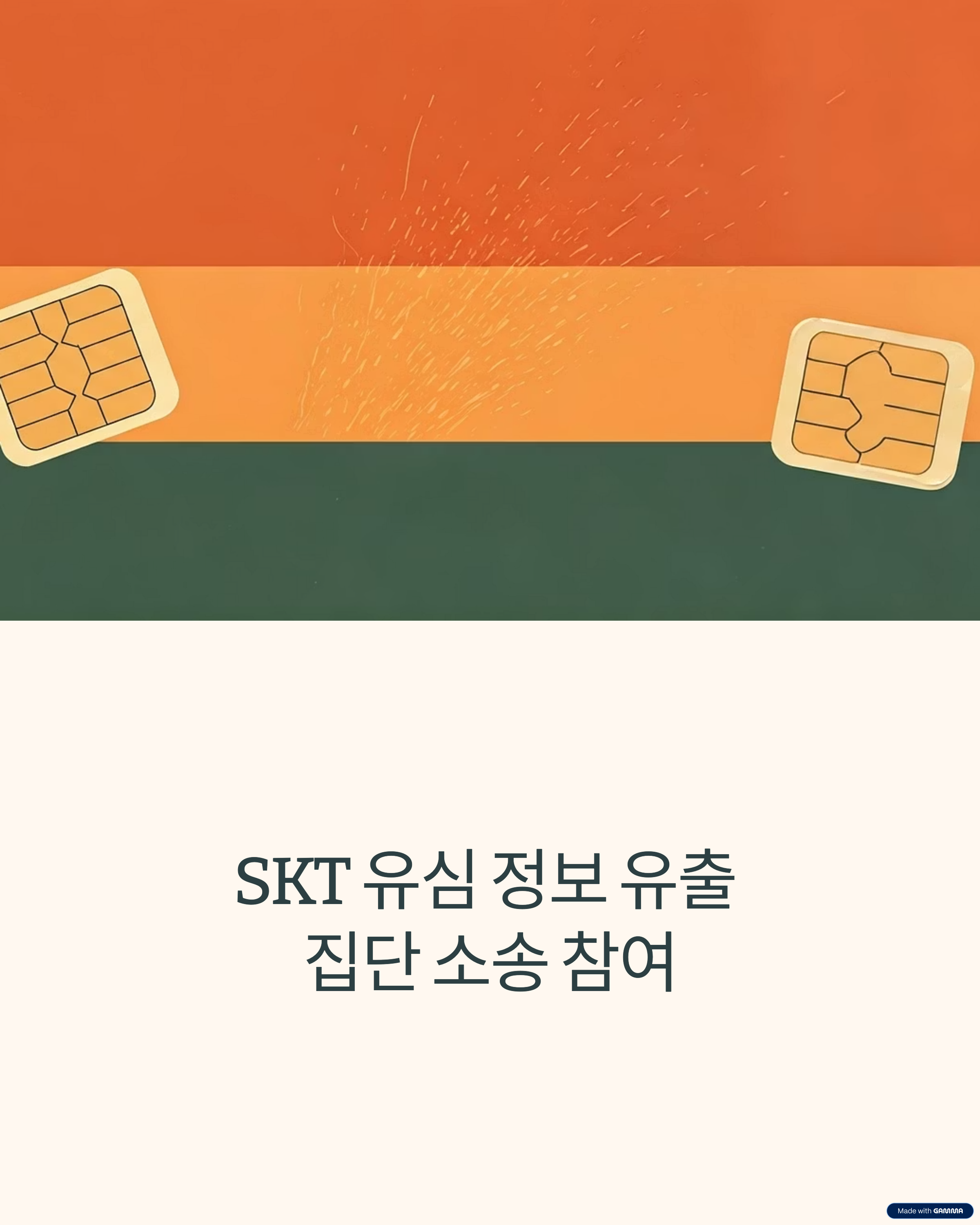 skt 유심 해킹 사태