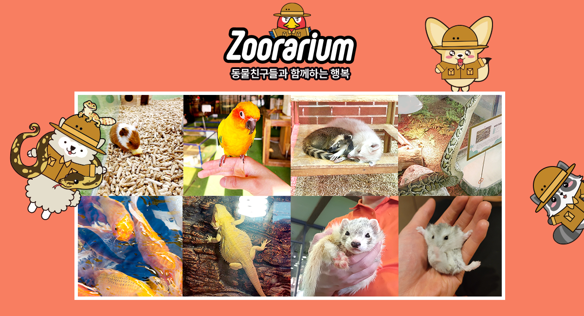 주라리움 이미지