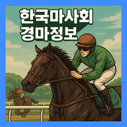 한국마사회 경마정보, 입문자도 쉽게 이해하는 활용 팁