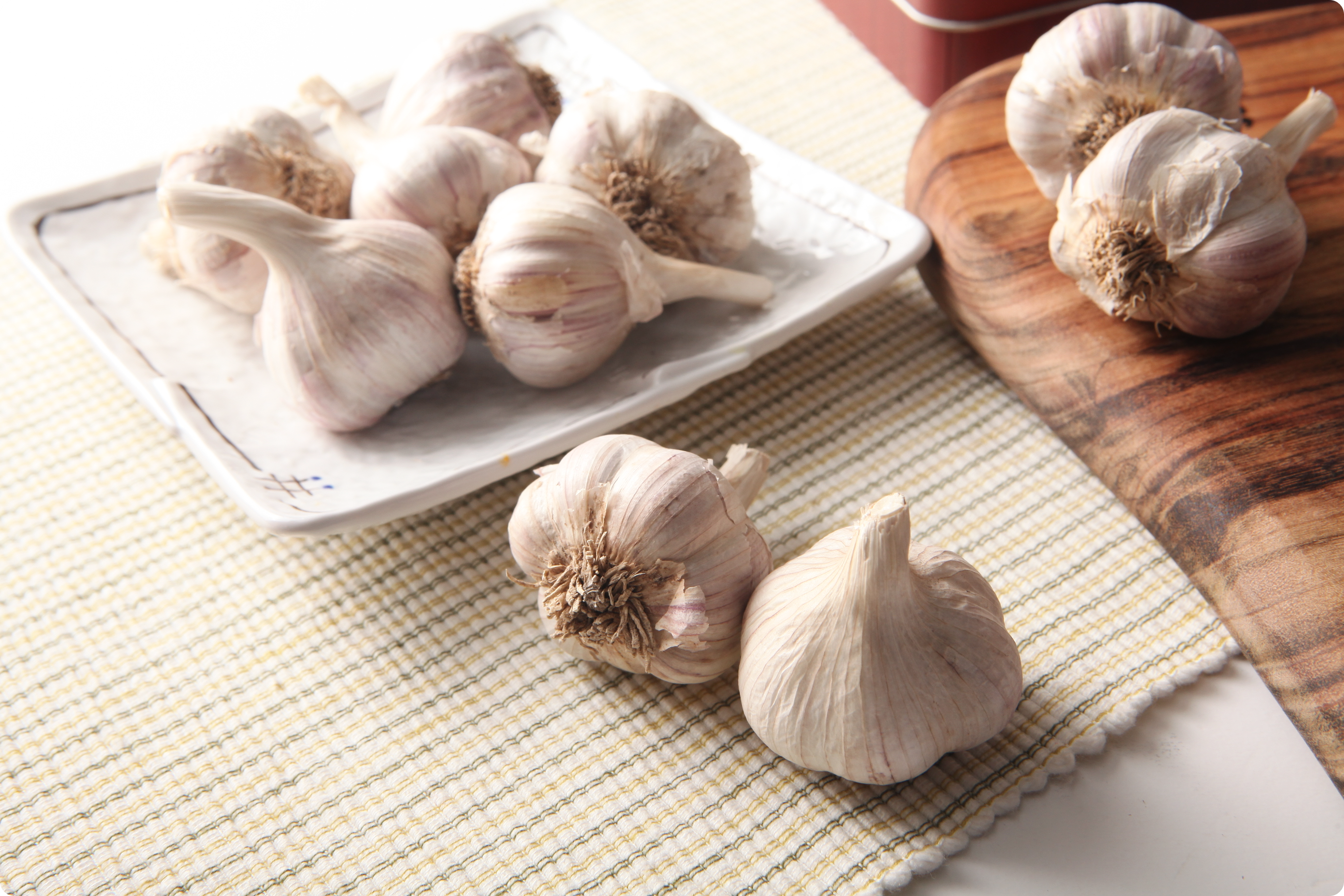 마늘-효능