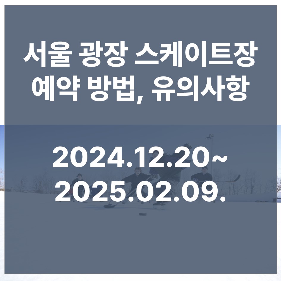 서울 광장 스케이트장